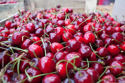 Cherry basket / Sweet cherry background/ cherry with leaf photo