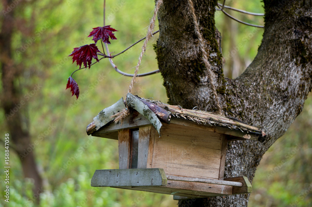 Naklejka premium Pretty bird house from an angle