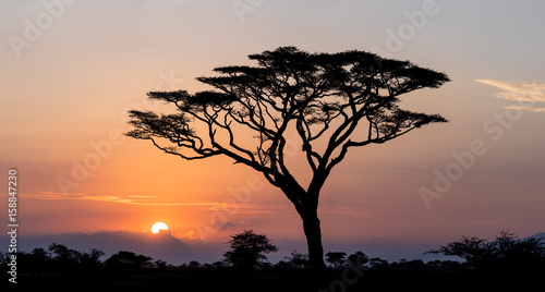 Sunrise in the Serengeti, Tanzania