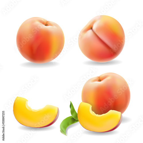 Ripe peach fruit with leaf isolated Realistic vector illustration.