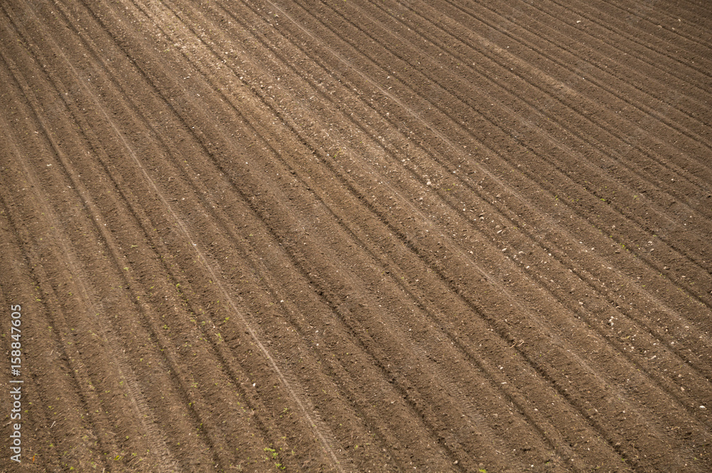 Field prepared for sowing in spring Field prepared for sowing in spring