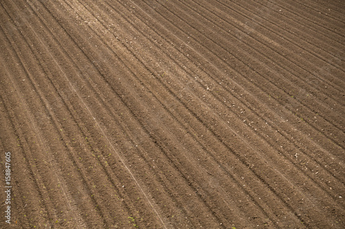 Field prepared for sowing in spring © Emil