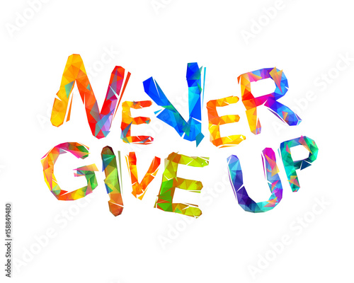 NEVER GIVE UP. Motivation inscription