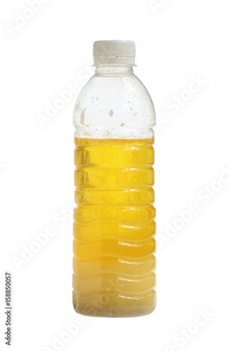 Chicken oil in bottle isolated on white background