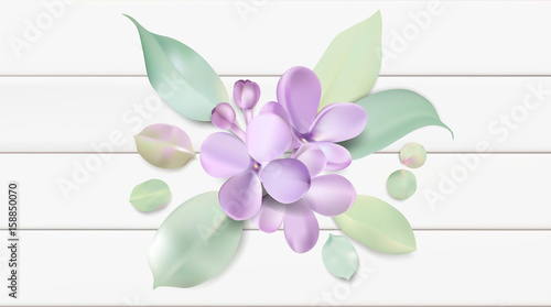 Pastel background with lilac flowers.