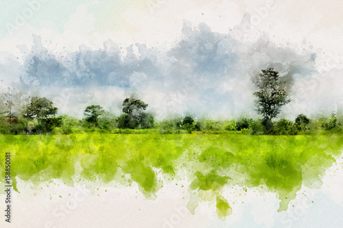 Fototapeta Landscape of Thailand with green field and Forest. Aquarelle digital painting effect.