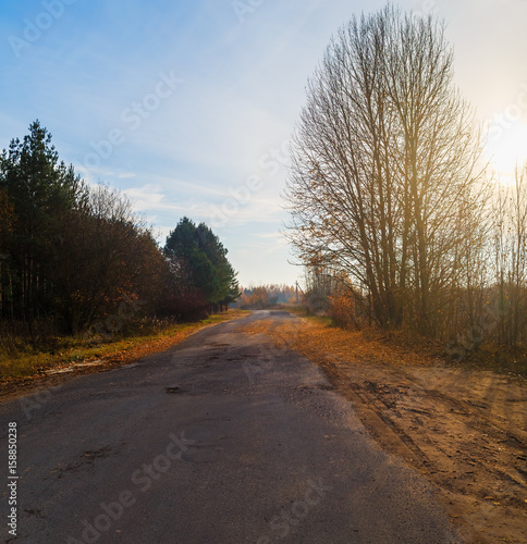 Old asphalt road in the countryside. Sunset sky and silhouettes of trees on the roadside. Autumn landscape.