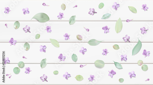 Pastel background with lilac flowers.