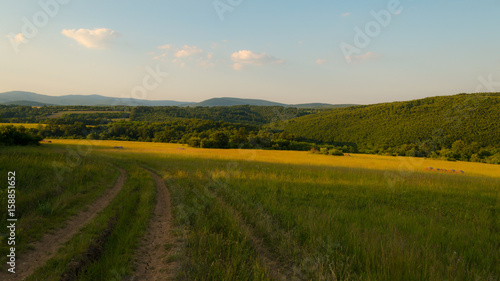 Beautiful sunny weather on the meadow in nature among the mountains © pellephoto