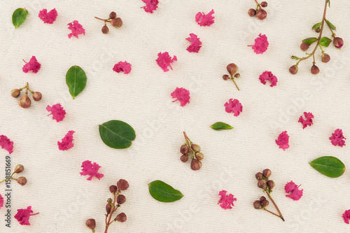 Pink crape myrtle petals, leaves and budding flowers on muslin fabric 