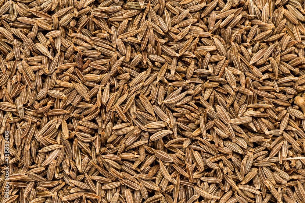 Texture of fennel seeds