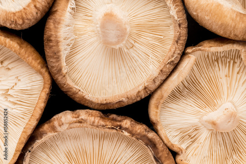 Close-up of shiitake mushrooms