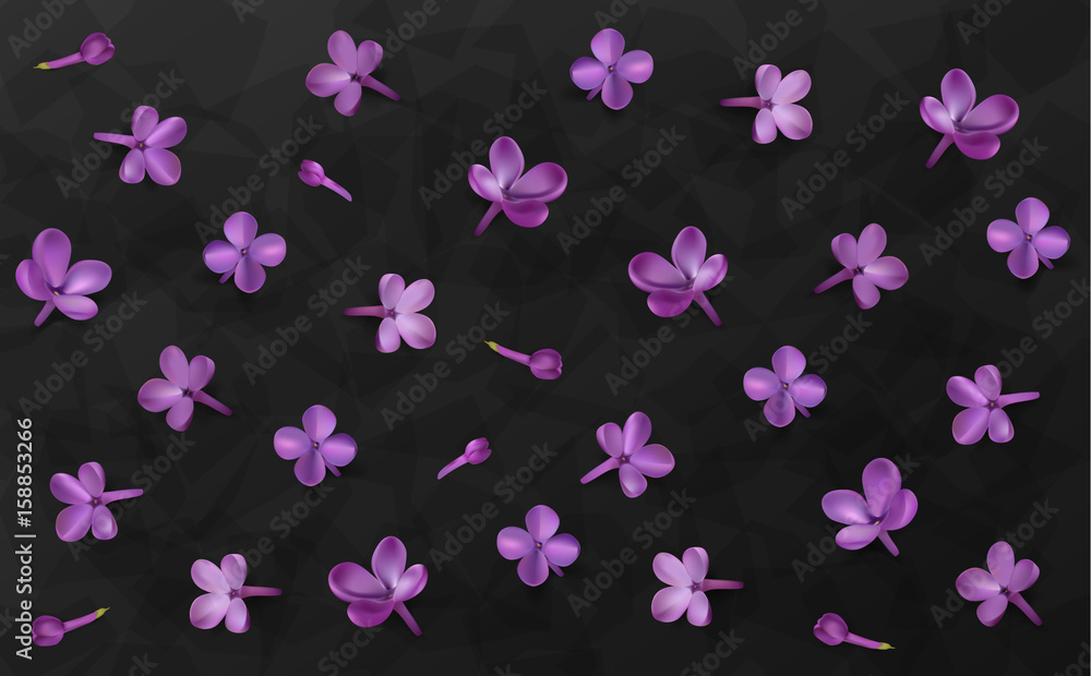 Pastel background with lilac flowers.