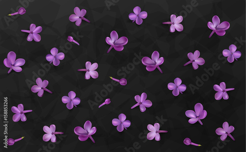Pastel background with lilac flowers.