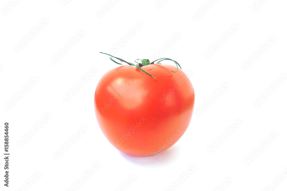 Tomato on white background