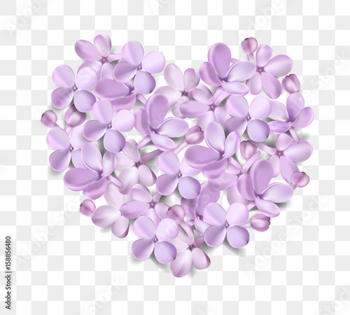 Pastel background with lilac flowers.