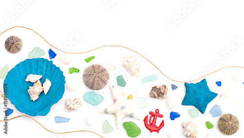 Set of sea shells on old wooden background