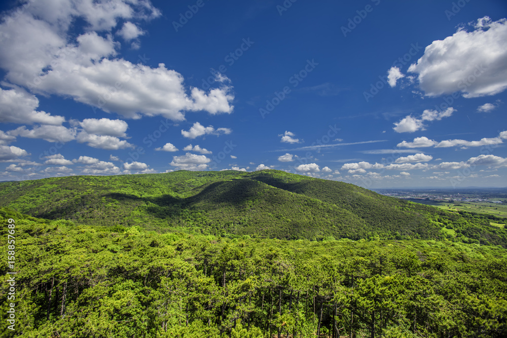 hills covered with green forest and blue sky  with white clouds