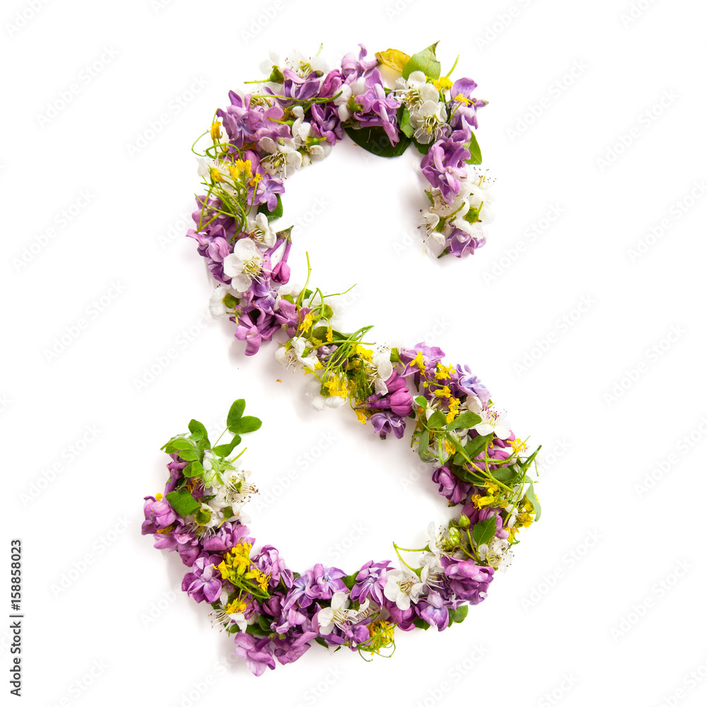 The letter «S» made of various natural small flowers..