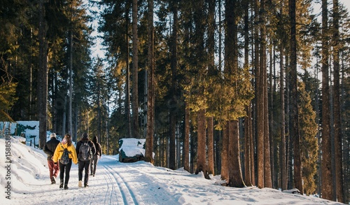 Winterwanderung im Wald, Schweiz photo