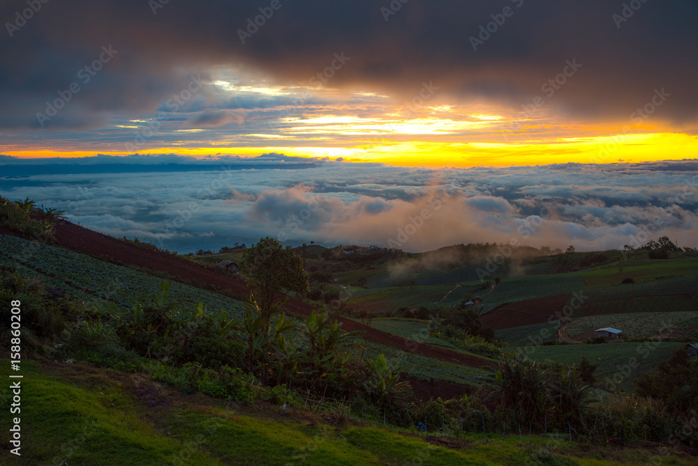 Beautiful sea of mist and sunrise in morning time