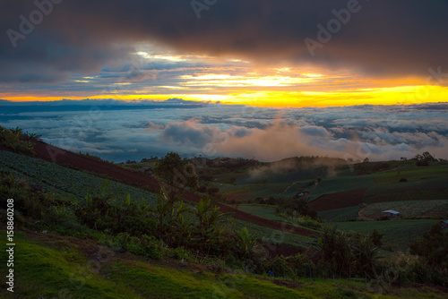 Beautiful sea of mist and sunrise in morning time