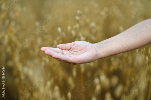 child holding open palm 