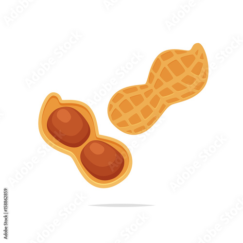 Peanut vector illustration