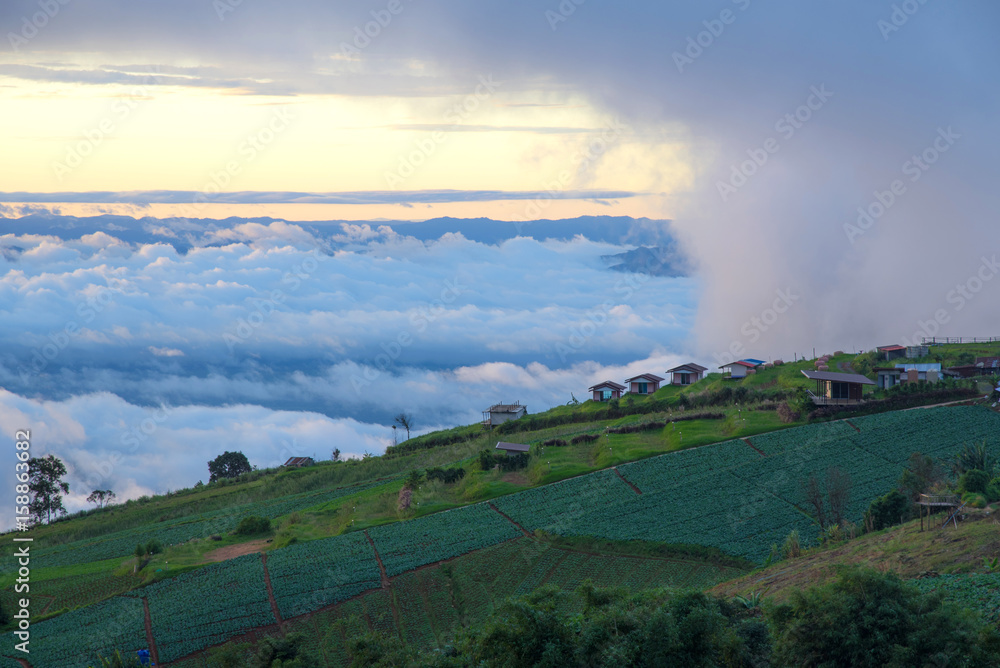 Beautiful sea of mist in morning time at Phu Thub Boek, Thailand
