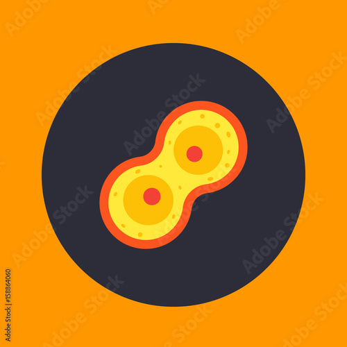 Cell division process, mitosis icon, vector illustration