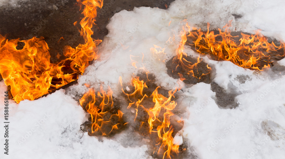 fiery flame on the white snow in winter fiery flame on the white snow in winter
