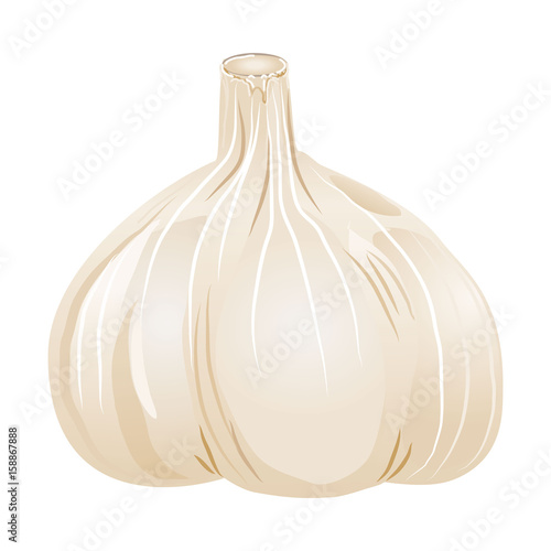 薄茶色のニンニク