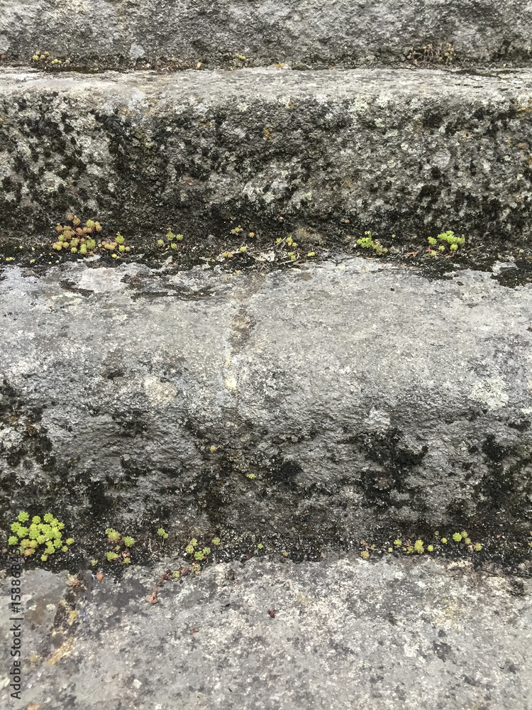 Obraz premium stone stairs