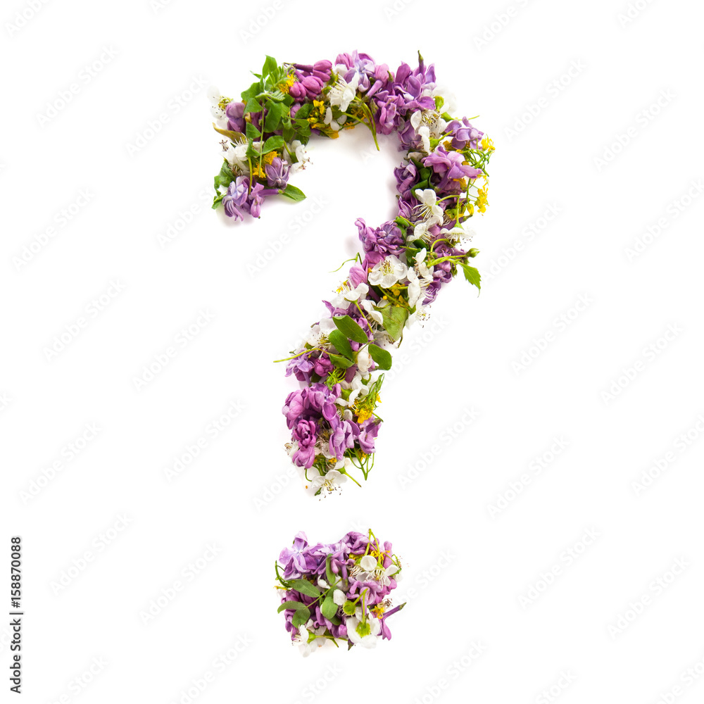 Question mark of natural meadow flowers and lilacs on a white background..