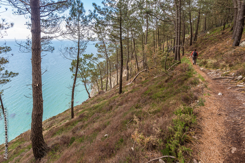 Sentier côtier du GR34 dans le Bois du Kador à proximité de l'Île Vierge - Presqu'Île de Crozon en Bretagne photo