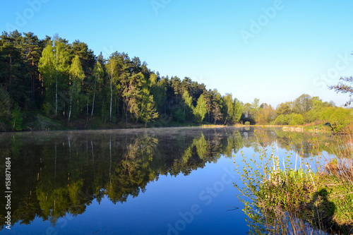 Forest and sky reflected in the calm blue water of Lake Forest. Early morning.