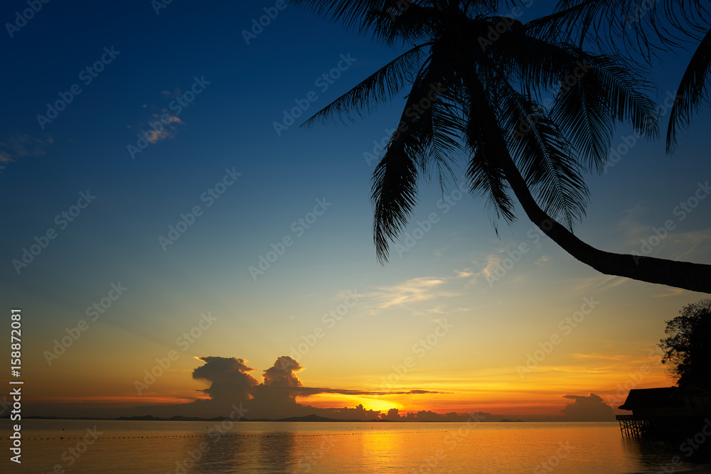 Golden dawn over the beach with silhouette coconut palm tree .Rawa island , Malaysia . Selected focus on center .