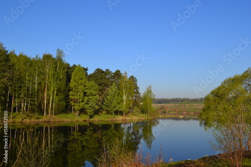 Forest is reflected in the calm blue water of the forest lake.