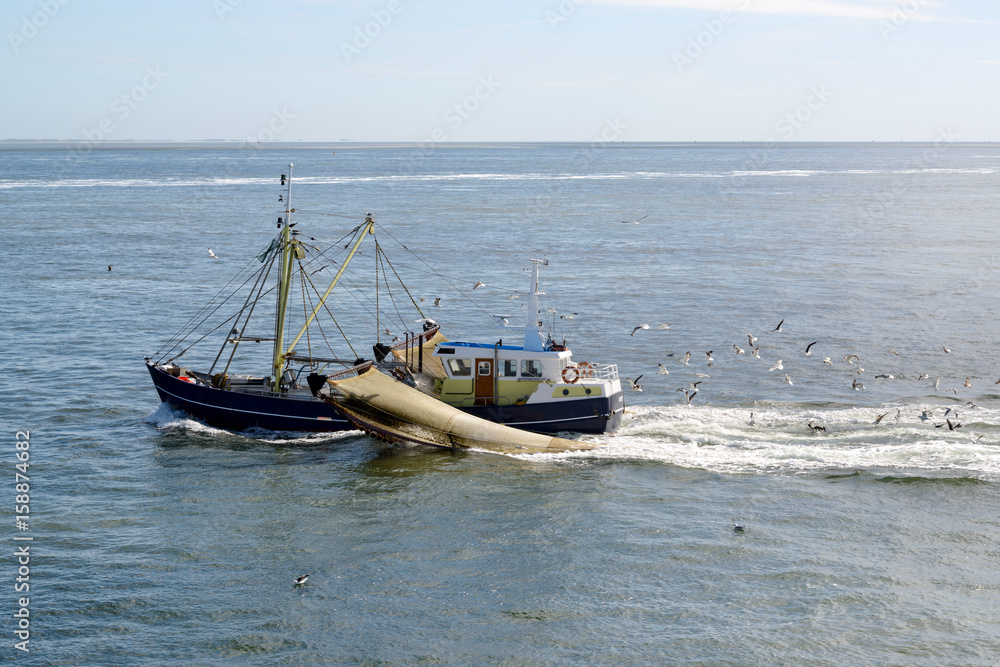 Fishing boat dragging a net throught the water of the Waddensea, The Netherlands. Lots of seagulls Fishing boat dragging a net throught the water of the Waddensea, The Netherlands. Lots of seagulls