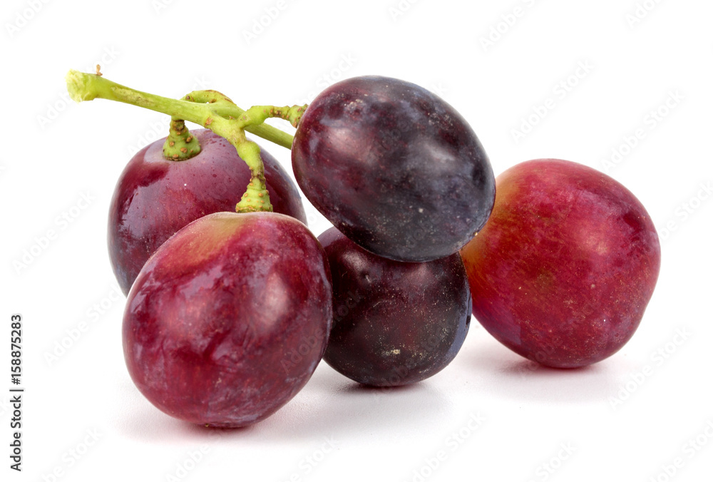 Obraz premium Red grapes