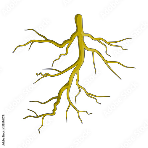 root plant  cartoon vector symbol icon design. Beautiful illustration isolated on white background