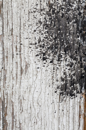 aged white paint on old wooden planks grunge texture