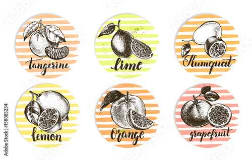 Set of round stickers with citrus fruits. Labels with hand drawn elements and brush calligraphy style lettering. Vector illustration.