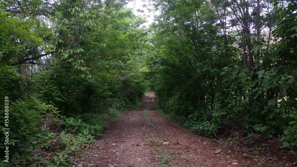 Fototapeta premium camino para practicar mountain bike en el salvador