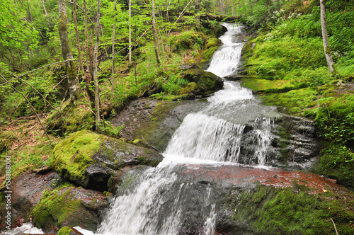 Beautiful waterfall in green forest in jungle. Jungle landscape with flowing red water of waterfall at deep tropical rain forest. National Park Old Mountain  Serbia