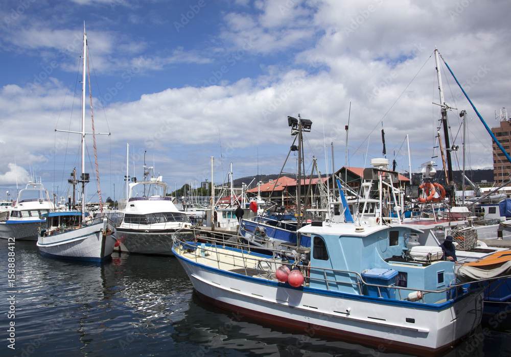 Hobart City Marina