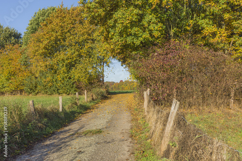 Autumn colored Passage nearby Xanten / Germany