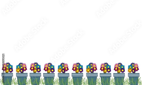 Macetas con flores de colores.