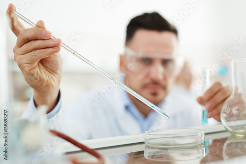 Portrait of scientist working on research in laboratory, performing chemical experiment dropping reactants into petri dish, focus on dropper