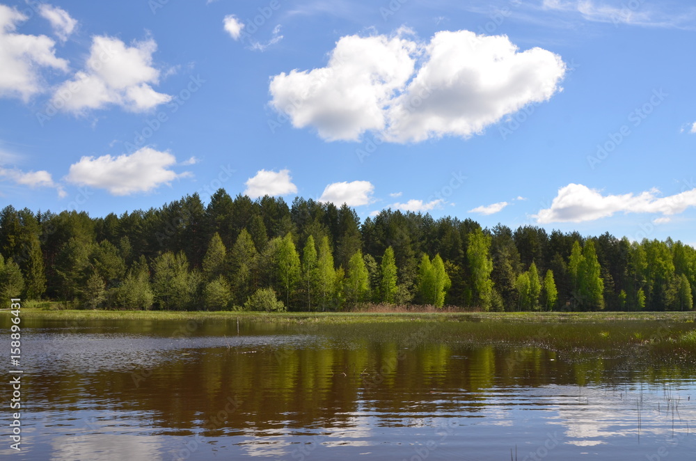 summer landscape with the river and the beautiful sky